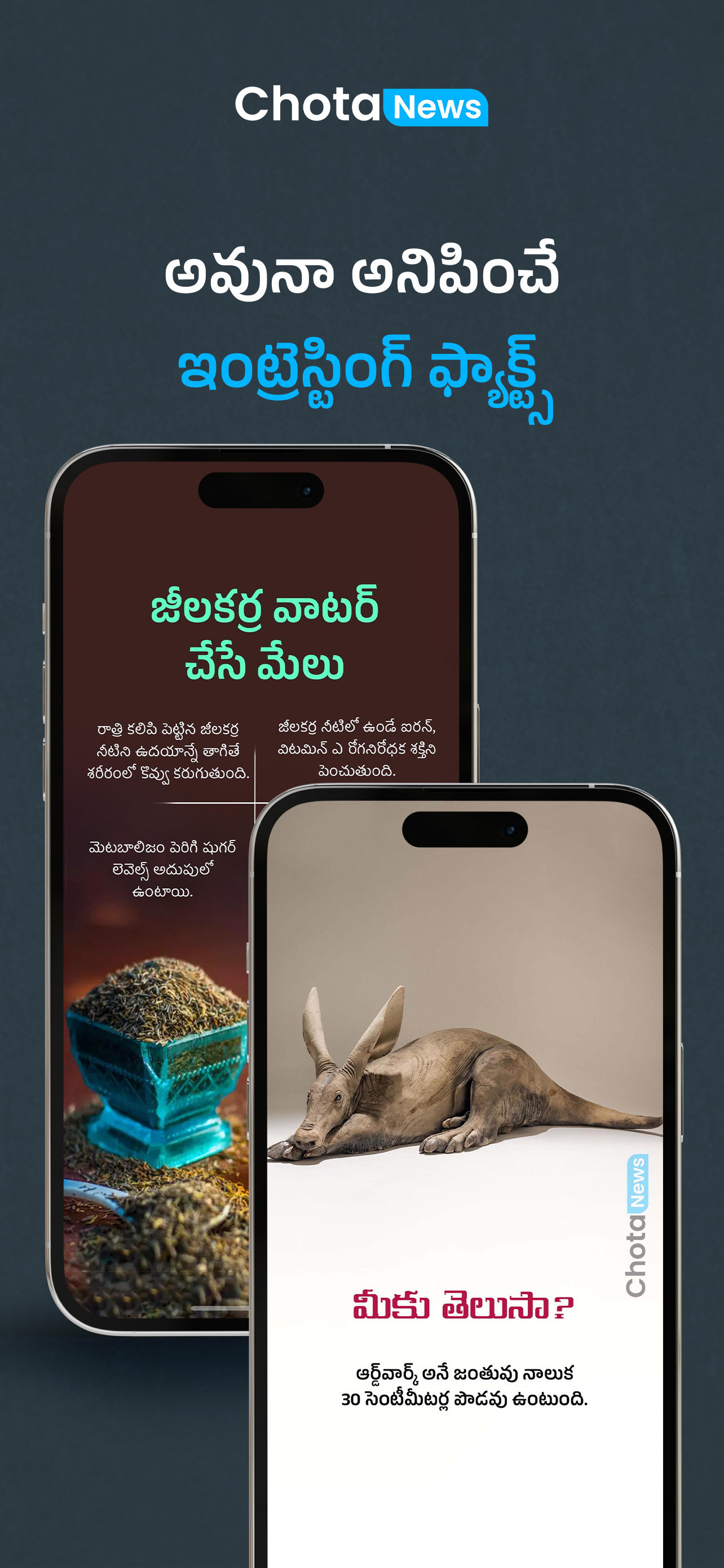 ChotaNews App Mockup